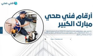فني صحي مبارك الكبير